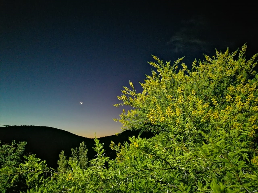 3 Bedroom Property for Sale in Joubertina Eastern Cape